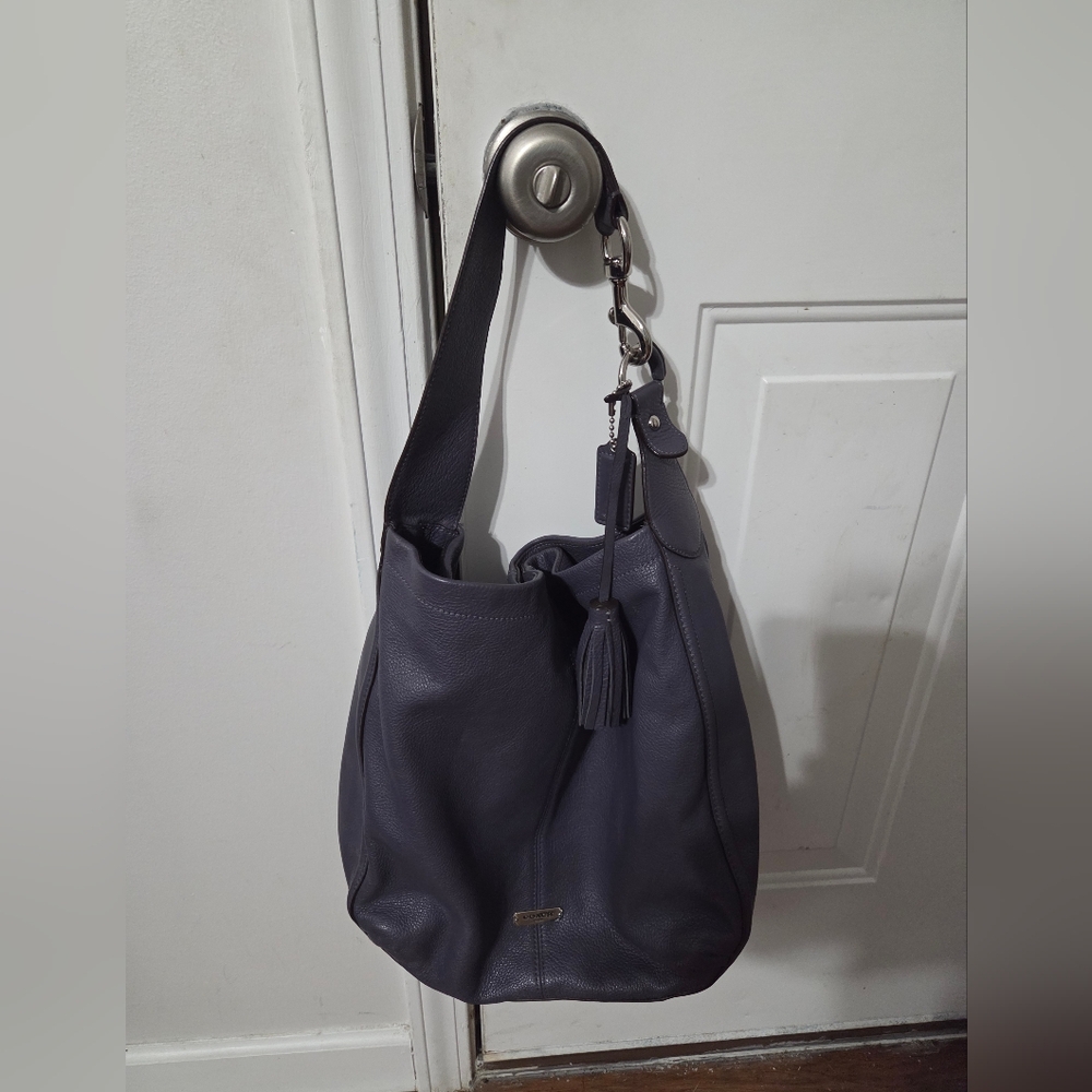 Coach Purple Leather Hobo Bag
